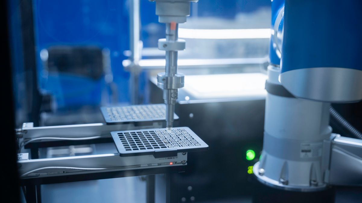 KY开元集团官网|刚刚，谷歌下一代杀器Gemini 4 Carbon曝光！RSI大招逼近Opus 5.5